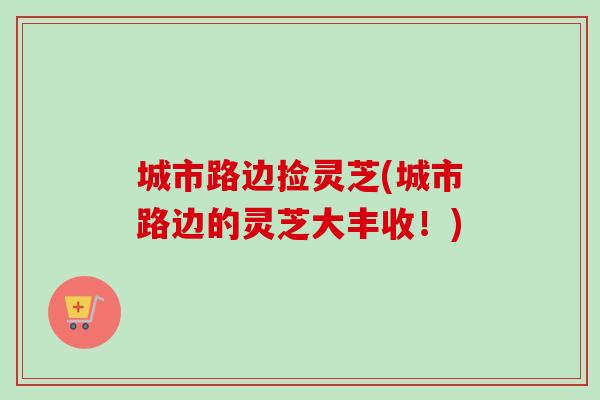 城市路边捡灵芝(城市路边的灵芝大丰收!)-第1张图片-卓越灵芝孢子粉 城市路边捡灵芝(城市路边的灵芝大丰收!)-第1张图片-卓越灵芝孢子粉