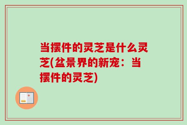 当摆件的灵芝是什么灵芝(盆景界的新宠：当摆件的灵芝)-第1张图片-卓越灵芝孢子粉