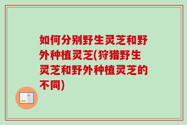 如何分别野生灵芝和野外种植灵芝(狩猎野生灵芝和野外种植灵芝的不同)-第1张图片-卓越灵芝孢子粉 如何分别野生灵芝和野外种植灵芝(狩猎野生灵芝和野外种植灵芝的不同)-第1张图片-卓越灵芝孢子粉