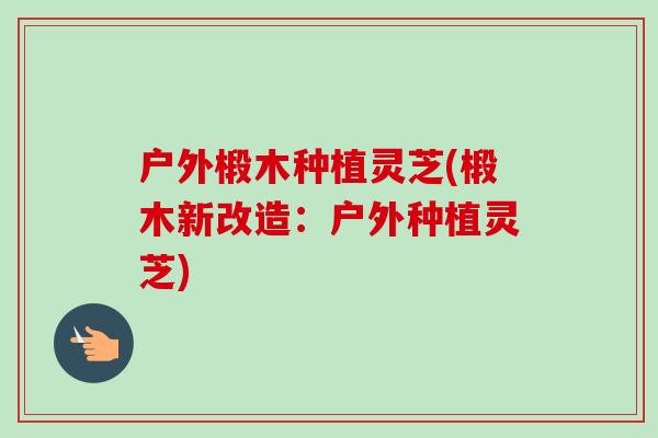 户外椴木种植灵芝(椴木新改造：户外种植灵芝)-第1张图片-卓越灵芝孢子粉
