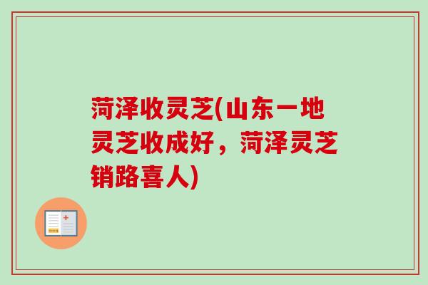 菏泽收灵芝(山东一地灵芝收成好,菏泽灵芝销路喜人)-第1张图片-卓越灵芝孢子粉 菏泽收灵芝(山东一地灵芝收成好,菏泽灵芝销路喜人)-第1张图片-卓越灵芝孢子粉