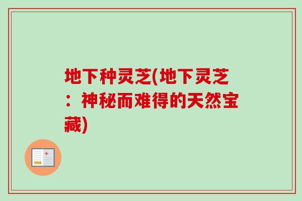 地下种灵芝(地下灵芝:神秘而难得的天然宝藏)-第1张图片-卓越灵芝孢子粉 地下种灵芝(地下灵芝:神秘而难得的天然宝藏)-第1张图片-卓越灵芝孢子粉