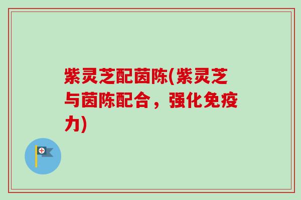 紫灵芝配茵陈(紫灵芝与茵陈配合,强化免疫力)-第1张图片-卓越灵芝孢子粉 紫灵芝配茵陈(紫灵芝与茵陈配合,强化免疫力)-第1张图片-卓越灵芝孢子粉
