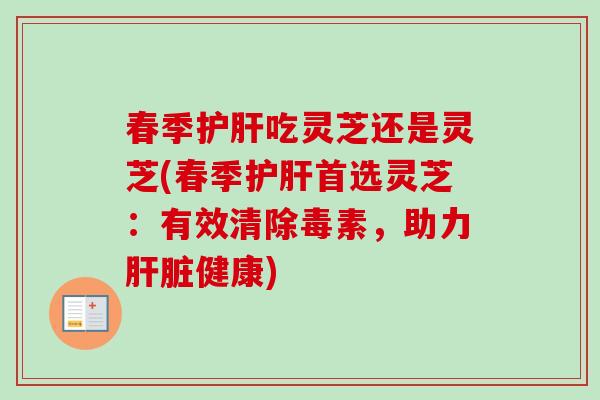 春季护肝吃灵芝还是灵芝(春季护肝首选灵芝：有效清除毒素，助力肝脏健康)-第1张图片-卓越灵芝孢子粉