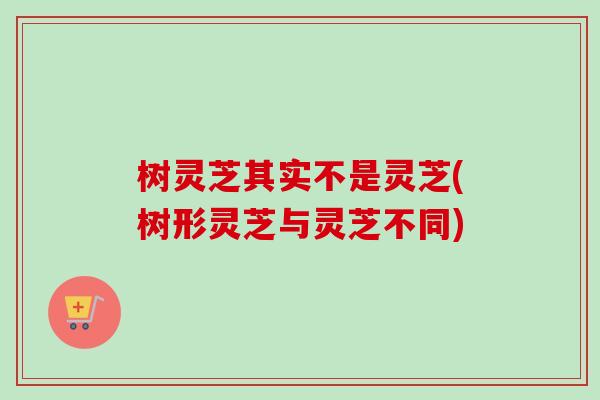 树灵芝其实不是灵芝(树形灵芝与灵芝不同)-第1张图片-卓越灵芝孢子粉