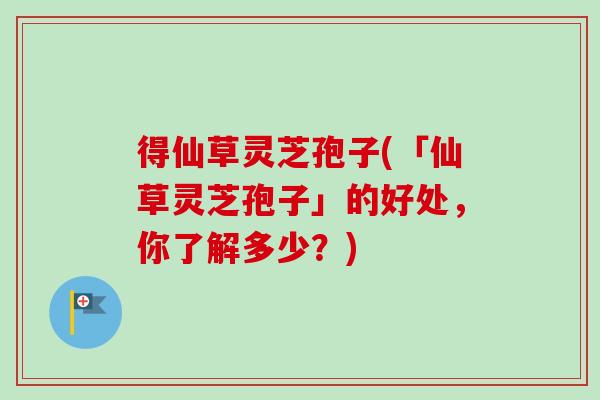 得仙草灵芝孢子(「仙草灵芝孢子」的好处，你了解多少？)-第1张图片-卓越灵芝孢子粉