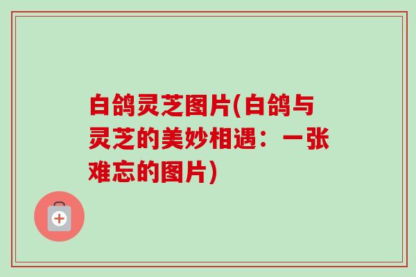 白鸽灵芝图片(白鸽与灵芝的美妙相遇：一张难忘的图片)-第1张图片-卓越灵芝孢子粉