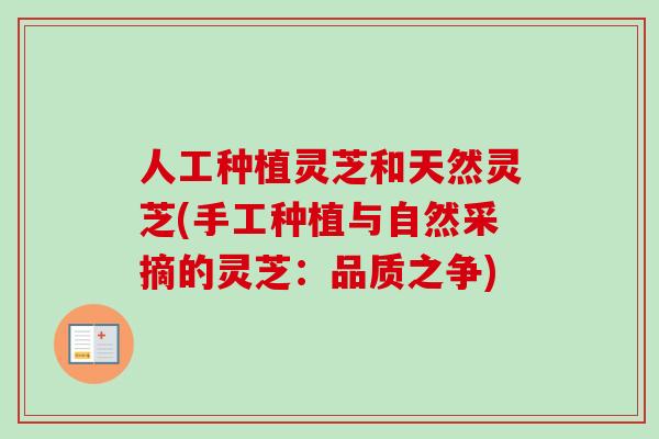 人工种植灵芝和天然灵芝(手工种植与自然采摘的灵芝:品质之争)-第1张图片-卓越灵芝孢子粉 人工种植灵芝和天然灵芝(手工种植与自然采摘的灵芝:品质之争)-第1张图片-卓越灵芝孢子粉
