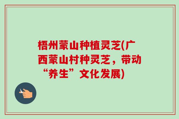 梧州蒙山种植灵芝(广西蒙山村种灵芝,带动“养生”文化发展)-第1张图片-卓越灵芝孢子粉 梧州蒙山种植灵芝(广西蒙山村种灵芝,带动“养生”文化发展)-第1张图片-卓越灵芝孢子粉
