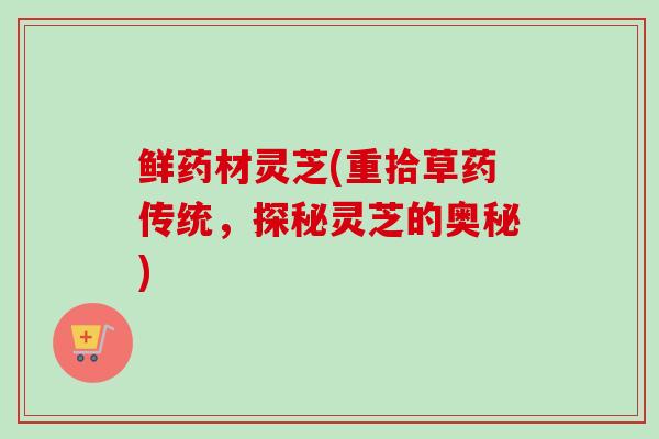 鲜药材灵芝(重拾草药传统,探秘灵芝的奥秘)-第1张图片-卓越灵芝孢子粉 鲜药材灵芝(重拾草药传统,探秘灵芝的奥秘)-第1张图片-卓越灵芝孢子粉