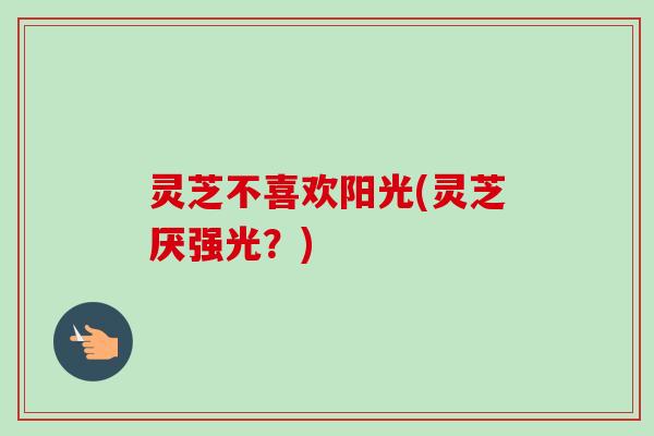灵芝不喜欢阳光(灵芝厌强光?)-第1张图片-卓越灵芝孢子粉 灵芝不喜欢阳光(灵芝厌强光?)-第1张图片-卓越灵芝孢子粉