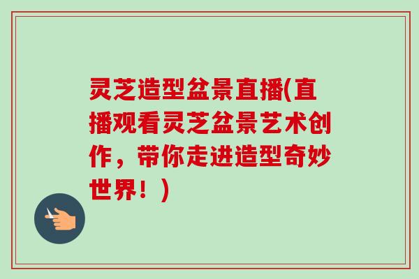灵芝造型盆景直播(直播观看灵芝盆景艺术创作，带你走进造型奇妙世界！)-第1张图片-卓越灵芝孢子粉