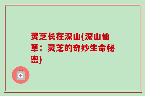 灵芝长在深山(深山仙草：灵芝的奇妙生命秘密)-第1张图片-卓越灵芝孢子粉