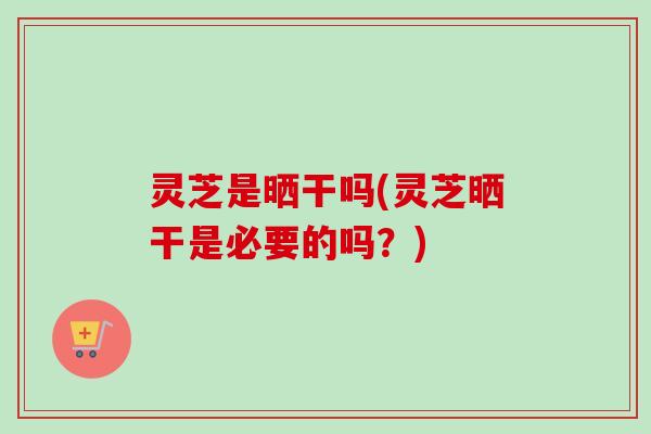 灵芝是晒干吗(灵芝晒干是必要的吗？)-第1张图片-卓越灵芝孢子粉