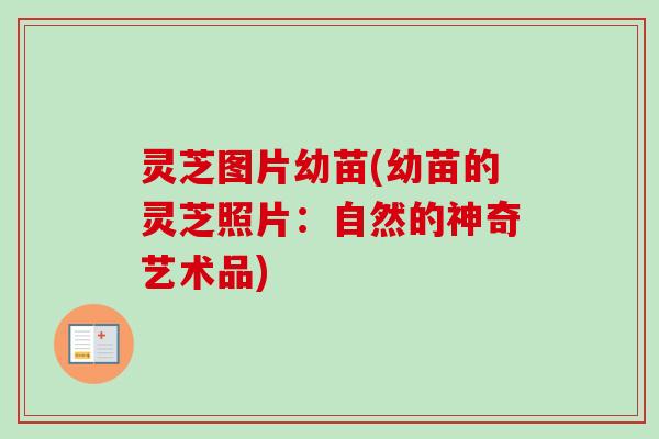 灵芝图片幼苗(幼苗的灵芝照片:自然的神奇艺术品)-第1张图片-卓越灵芝孢子粉 灵芝图片幼苗(幼苗的灵芝照片:自然的神奇艺术品)-第1张图片-卓越灵芝孢子粉