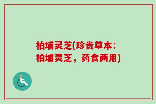 柏埔灵芝(珍贵草本:柏埔灵芝,药食两用)-第1张图片-卓越灵芝孢子粉 柏埔灵芝(珍贵草本:柏埔灵芝,药食两用)-第1张图片-卓越灵芝孢子粉
