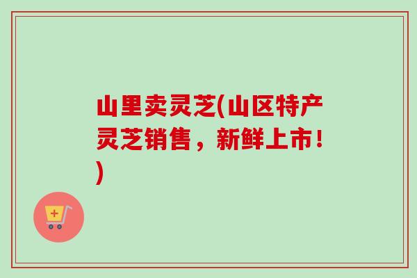 山里卖灵芝(山区特产灵芝销售,新鲜上市!)-第1张图片-卓越灵芝孢子粉 山里卖灵芝(山区特产灵芝销售,新鲜上市!)-第1张图片-卓越灵芝孢子粉
