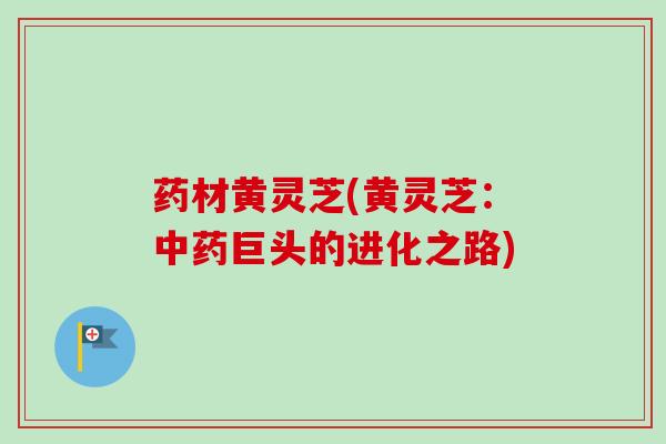 药材黄灵芝(黄灵芝:中药巨头的进化之路)-第1张图片-卓越灵芝孢子粉 药材黄灵芝(黄灵芝:中药巨头的进化之路)-第1张图片-卓越灵芝孢子粉