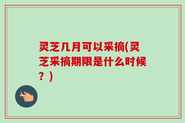 灵芝几月可以采摘(灵芝采摘期限是什么时候？)-第1张图片-卓越灵芝孢子粉