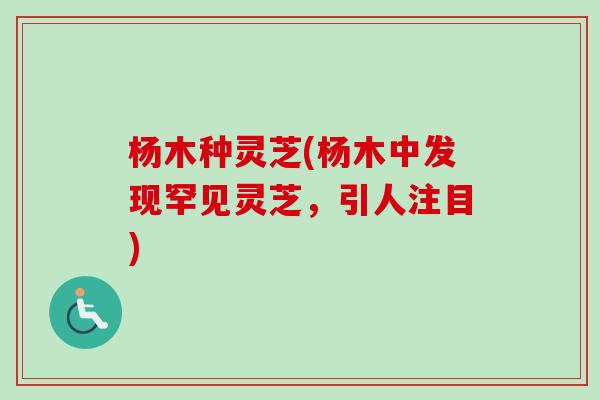杨木种灵芝(杨木中发现罕见灵芝，引人注目)-第1张图片-卓越灵芝孢子粉