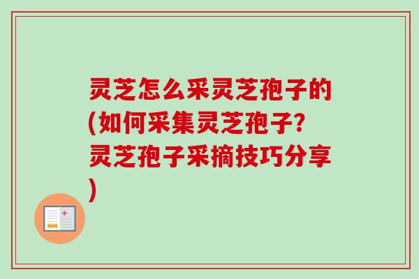 灵芝怎么采灵芝孢子的(如何采集灵芝孢子？灵芝孢子采摘技巧分享)-第1张图片-卓越灵芝孢子粉
