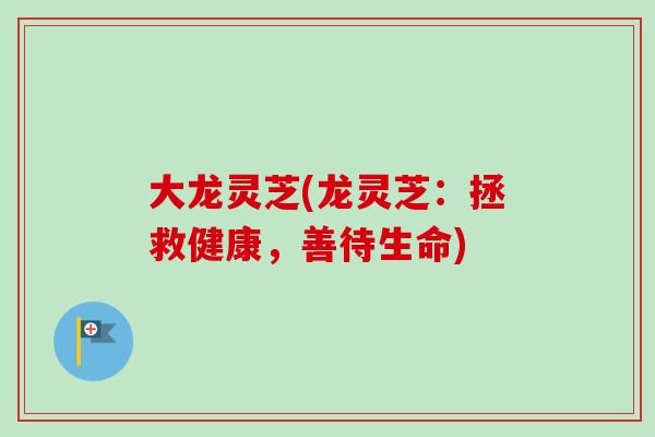 大龙灵芝(龙灵芝：拯救健康，善待生命)-第1张图片-卓越灵芝孢子粉