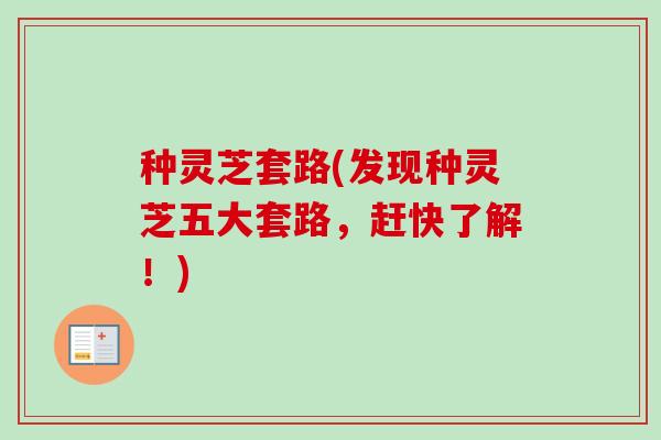 种灵芝套路(发现种灵芝五大套路,赶快了解!)-第1张图片-卓越灵芝孢子粉 种灵芝套路(发现种灵芝五大套路,赶快了解!)-第1张图片-卓越灵芝孢子粉