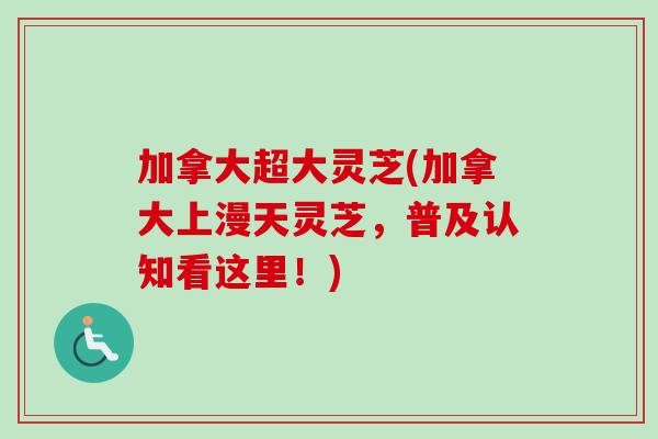 加拿大超大灵芝(加拿大上漫天灵芝,普及认知看这里!)-第1张图片-卓越灵芝孢子粉 加拿大超大灵芝(加拿大上漫天灵芝,普及认知看这里!)-第1张图片-卓越灵芝孢子粉