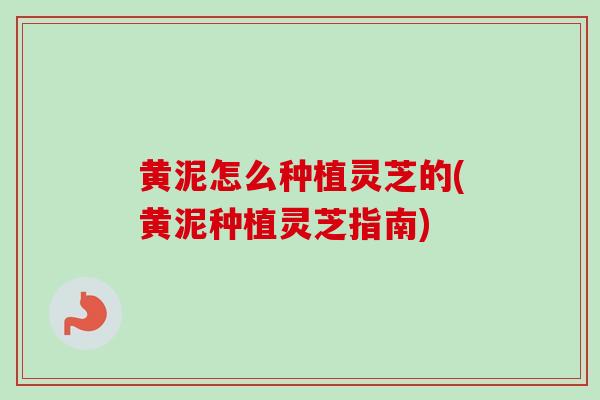 黄泥怎么种植灵芝的(黄泥种植灵芝指南)-第1张图片-卓越灵芝孢子粉