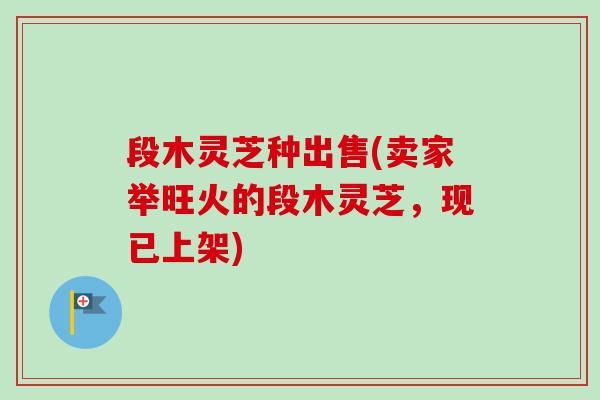 段木灵芝种出售(卖家举旺火的段木灵芝,现已上架)-第1张图片-卓越灵芝孢子粉 段木灵芝种出售(卖家举旺火的段木灵芝,现已上架)-第1张图片-卓越灵芝孢子粉
