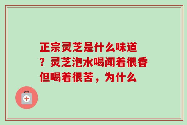 正宗灵芝是什么味道 ?灵芝泡水喝闻着很香但喝着很苦,为什么-第1张图片-卓越灵芝孢子粉 正宗灵芝是什么味道 ?灵芝泡水喝闻着很香但喝着很苦,为什么-第1张图片-卓越灵芝孢子粉