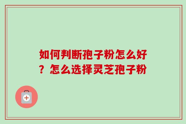 如何判断孢子粉怎么好?怎么选择灵芝孢子粉-第1张图片-卓越灵芝孢子粉 如何判断孢子粉怎么好?怎么选择灵芝孢子粉-第1张图片-卓越灵芝孢子粉
