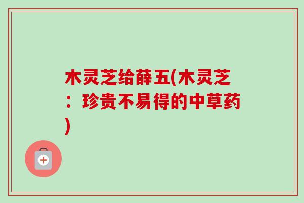 木灵芝给薛五(木灵芝：珍贵不易得的中草药)-第1张图片-卓越灵芝孢子粉