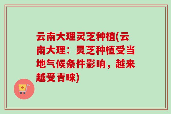 云南大理灵芝种植(云南大理:灵芝种植受当地气候条件影响,越来越受青睐)-第1张图片-卓越灵芝孢子粉 云南大理灵芝种植(云南大理:灵芝种植受当地气候条件影响,越来越受青睐)-第1张图片-卓越灵芝孢子粉