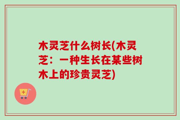 木灵芝什么树长(木灵芝:一种生长在某些树木上的珍贵灵芝)-第1张图片-卓越灵芝孢子粉 木灵芝什么树长(木灵芝:一种生长在某些树木上的珍贵灵芝)-第1张图片-卓越灵芝孢子粉