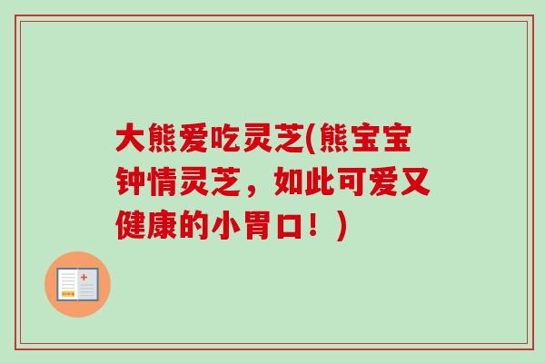 大熊爱吃灵芝(熊宝宝钟情灵芝,如此可爱又健康的小胃口!)-第1张图片-卓越灵芝孢子粉 大熊爱吃灵芝(熊宝宝钟情灵芝,如此可爱又健康的小胃口!)-第1张图片-卓越灵芝孢子粉