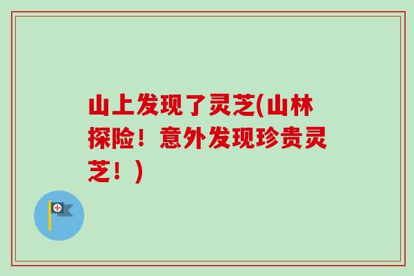 山上发现了灵芝(山林探险!意外发现珍贵灵芝!)-第1张图片-卓越灵芝孢子粉 山上发现了灵芝(山林探险!意外发现珍贵灵芝!)-第1张图片-卓越灵芝孢子粉