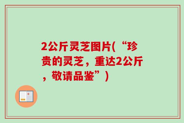 2公斤灵芝图片(“珍贵的灵芝,重达2公斤,敬请品鉴”)-第1张图片-卓越灵芝孢子粉 2公斤灵芝图片(“珍贵的灵芝,重达2公斤,敬请品鉴”)-第1张图片-卓越灵芝孢子粉