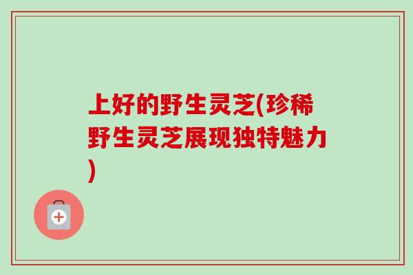 上好的野生灵芝(珍稀野生灵芝展现独特魅力)-第1张图片-卓越灵芝孢子粉 上好的野生灵芝(珍稀野生灵芝展现独特魅力)-第1张图片-卓越灵芝孢子粉