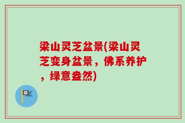 梁山灵芝盆景(梁山灵芝变身盆景，佛系养护，绿意盎然)-第1张图片-卓越灵芝孢子粉