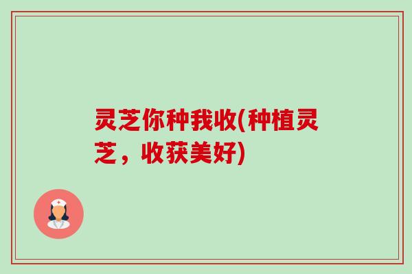 灵芝你种我收(种植灵芝,收获美好)-第1张图片-卓越灵芝孢子粉 灵芝你种我收(种植灵芝,收获美好)-第1张图片-卓越灵芝孢子粉