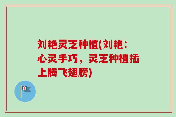 刘艳灵芝种植(刘艳：心灵手巧，灵芝种植插上腾飞翅膀)-第1张图片-卓越灵芝孢子粉