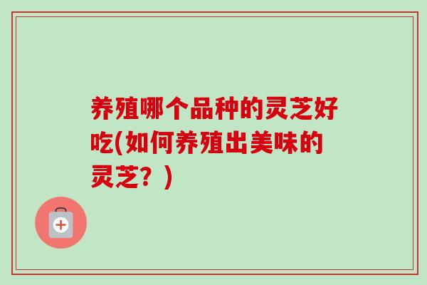 养殖哪个品种的灵芝好吃(如何养殖出美味的灵芝？)-第1张图片-卓越灵芝孢子粉