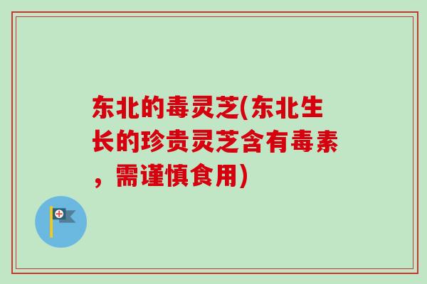 东北的毒灵芝(东北生长的珍贵灵芝含有毒素，需谨慎食用)-第1张图片-卓越灵芝孢子粉