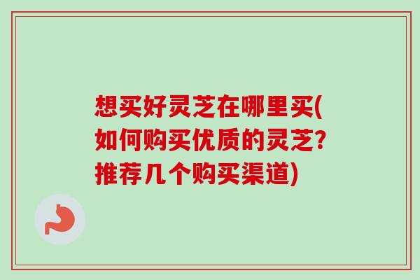 想买好灵芝在哪里买(如何购买优质的灵芝?推荐几个购买渠道)-第1张图片-卓越灵芝孢子粉 想买好灵芝在哪里买(如何购买优质的灵芝?推荐几个购买渠道)-第1张图片-卓越灵芝孢子粉