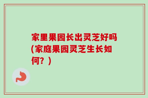 家里果园长出灵芝好吗(家庭果园灵芝生长如何?)-第1张图片-卓越灵芝孢子粉 家里果园长出灵芝好吗(家庭果园灵芝生长如何?)-第1张图片-卓越灵芝孢子粉