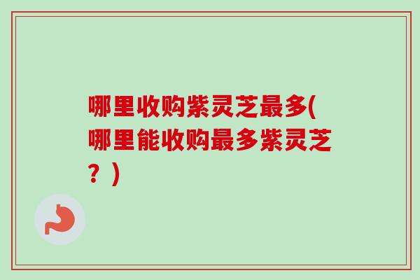 哪里收购紫灵芝最多(哪里能收购最多紫灵芝?)-第1张图片-卓越灵芝孢子粉 哪里收购紫灵芝最多(哪里能收购最多紫灵芝?)-第1张图片-卓越灵芝孢子粉