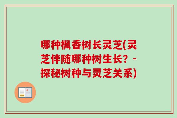 哪种枫香树长灵芝(灵芝伴随哪种树生长?-探秘树种与灵芝关系)-第1张图片-卓越灵芝孢子粉 哪种枫香树长灵芝(灵芝伴随哪种树生长?-探秘树种与灵芝关系)-第1张图片-卓越灵芝孢子粉