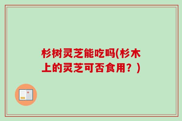 杉树灵芝能吃吗(杉木上的灵芝可否食用?)-第1张图片-卓越灵芝孢子粉 杉树灵芝能吃吗(杉木上的灵芝可否食用?)-第1张图片-卓越灵芝孢子粉