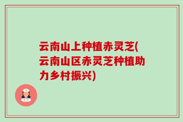 云南山上种植赤灵芝(云南山区赤灵芝种植助力乡村振兴)-第1张图片-卓越灵芝孢子粉 云南山上种植赤灵芝(云南山区赤灵芝种植助力乡村振兴)-第1张图片-卓越灵芝孢子粉
